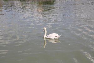 IMG_7608.jpg