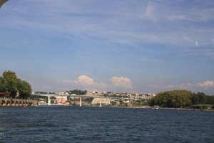 IMG_8490.jpg