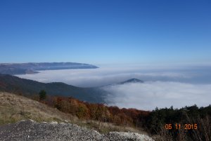 DSC00882.jpg